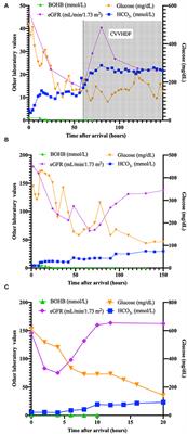 Case Report: Role of Ketone Monitoring in Diabetic Ketoacidosis With Acute Kidney Injury: Better Safe Than Sorry